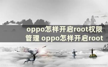 oppo怎样开启root权限管理 oppo怎样开启root